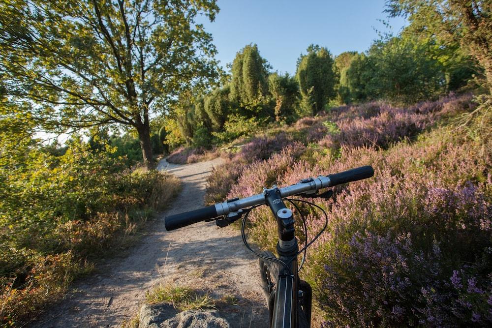 Hotel Park Soltau Eksteriør billede